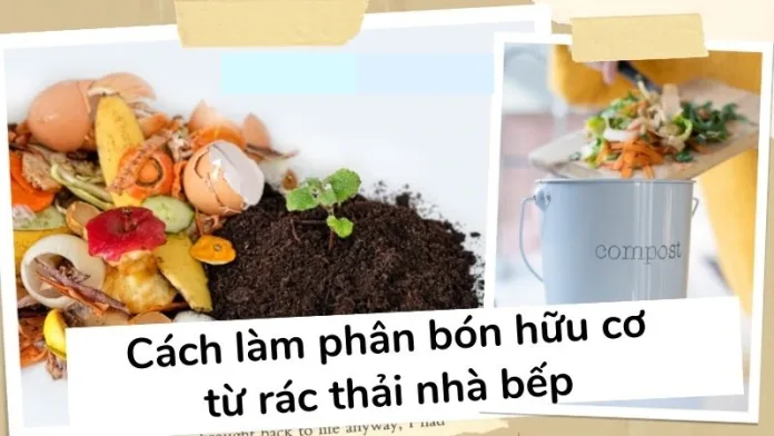 Rác Hữu Cơ Tại Gia Đình Và Phương Pháp Làm Phân Bón Organic 