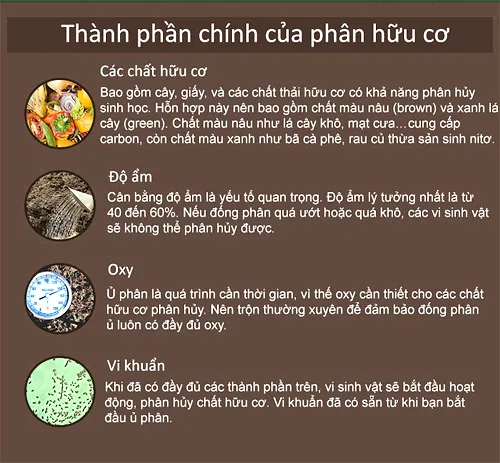 Phân Hữu Cơ Trong Vườn Ươm Khám Phá Cách Sử Dụng Và Những Lợi Ích