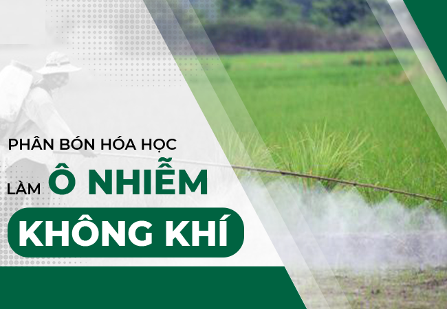 Sức Khỏe Con Người  Và Những Tác Động Của Phân Bón Hữu Cơ Organic Lên Đời Sống Hàng Ngày