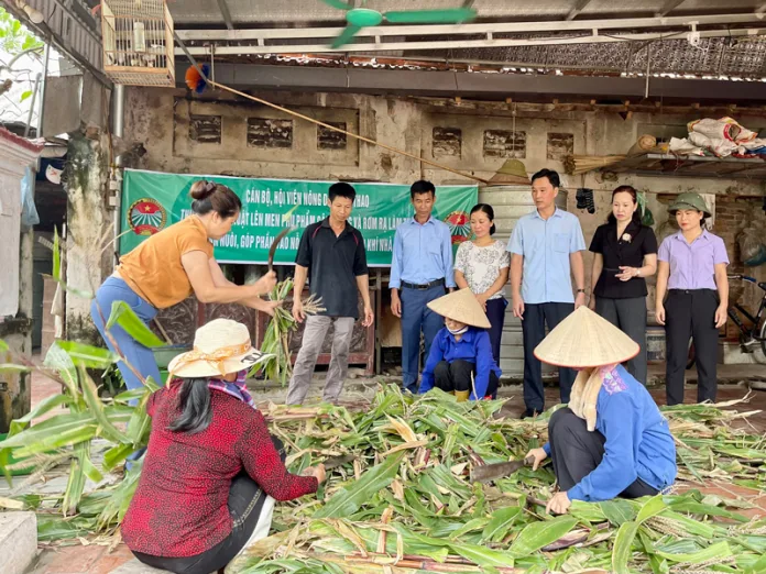 Tận Dụng Phế Liệu Nông Nghiệp Cách Tự Sản Xuất Phân Bón Hữu Cơ Organic Tại Nhà Đơn Giản