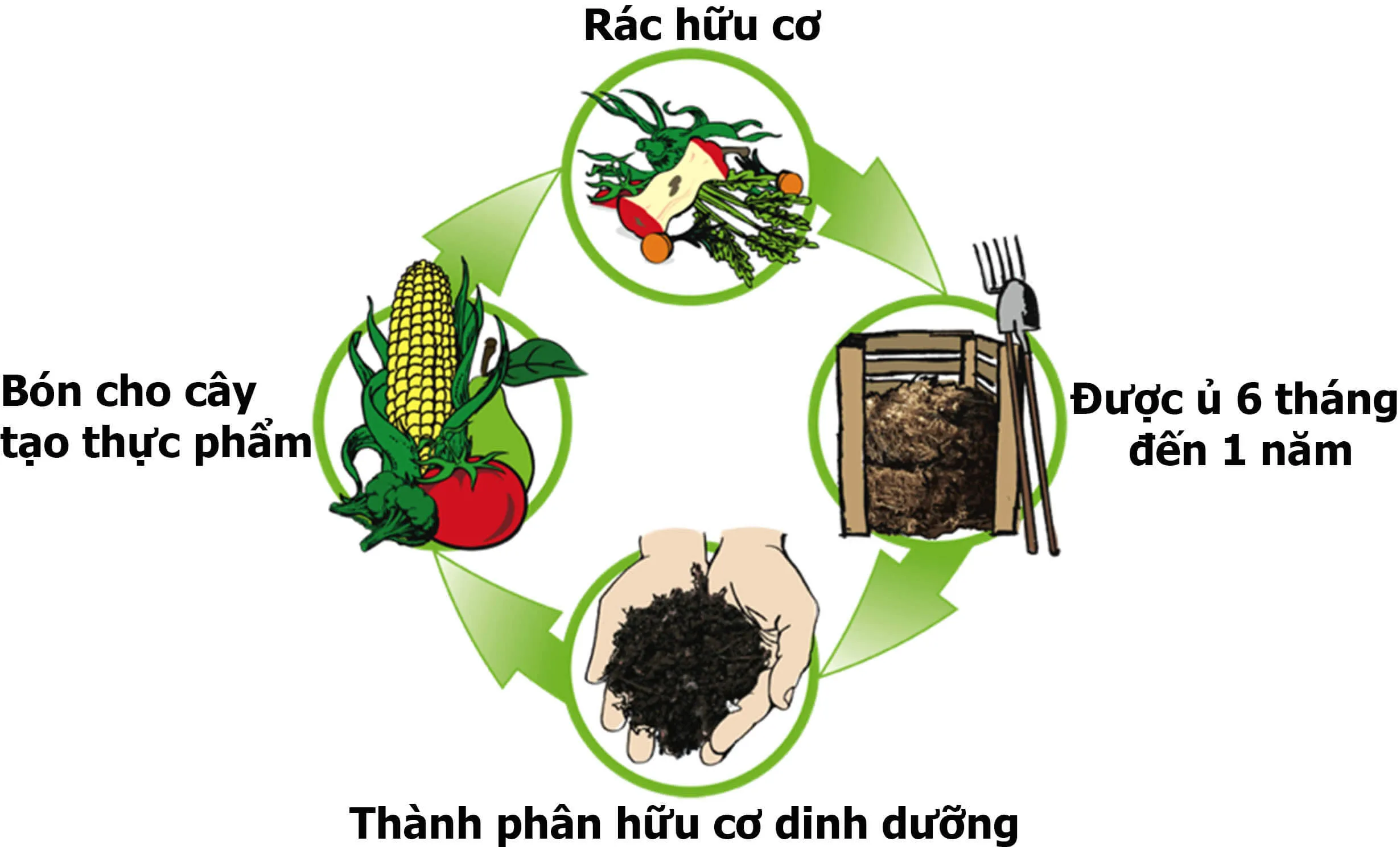 Phân Bón Hữu Cơ Tại Nhà 5 Quy Trình Chế Biến Đơn Giản Mà Tiết Kiệm Chi Phí Ngay Tại Nhà