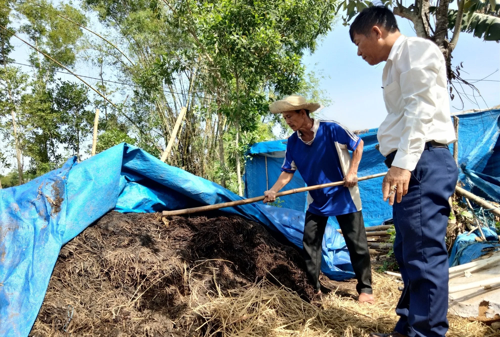 Tận Dụng Phế Liệu Nông Nghiệp Cách Tự Sản Xuất Phân Bón Hữu Cơ Organic Tại Nhà Đơn Giản