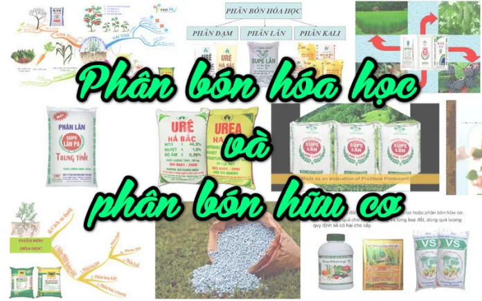 Phân Hóa Học Và Phân Hữu Cơ Organic So Sánh Và Cách Phân Biệt