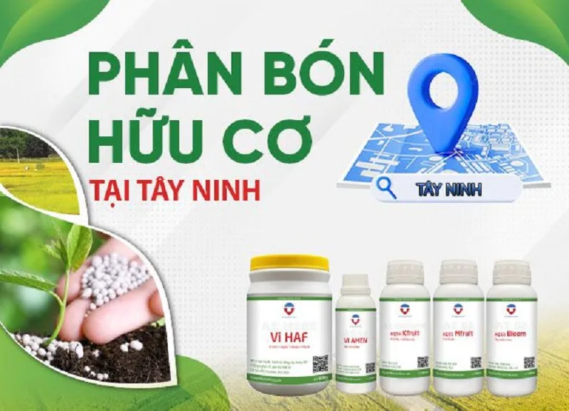 Mua-phan-bon-huu-co-o-dau-uy-tin-va-chat-luong