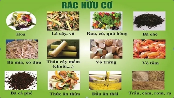 Phan-bon-huu-co-nguyen-lieu-tu-nhien-cho-su-phat-trien-cay-trong