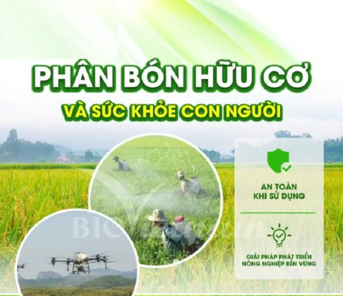 Suc-khoe-nguoi-tieu-dung-va-nhung-anh-huong-tu-phan-bon-huu-co