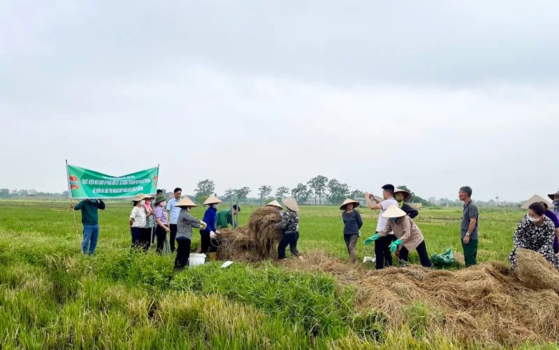 Suc-khoe-nguoi-tieu-dung-va-nhung-anh-huong-tu-phan-bon-huu-co