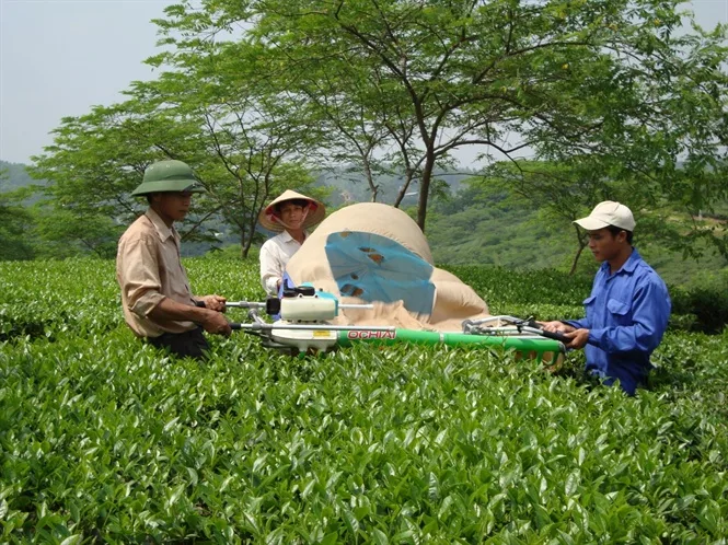 Suc-khoe-nguoi-tieu-dung-va-nhung-anh-huong-tu-phan-bon-huu-co