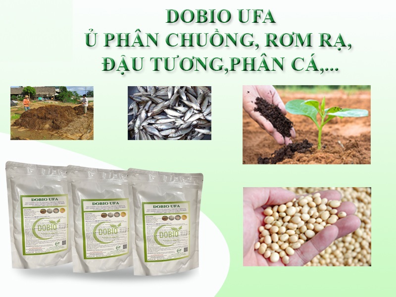 Cach-su-dung-phan-bon-huu-co-cho-tung-giai-doan-phat-trien-cua-cay