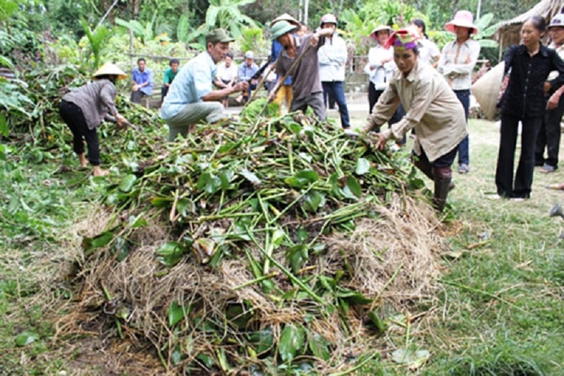 Kinh-nghiem-su-dung-phan-bon-huu-co-cho-nguoi-moi-bat-dau