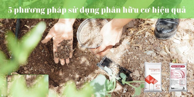 5-cau-hoi-thuong-gap-ve-phan-bon-huu-co